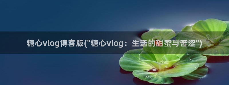 下载糖心vlog:糖心vlog博客版(\