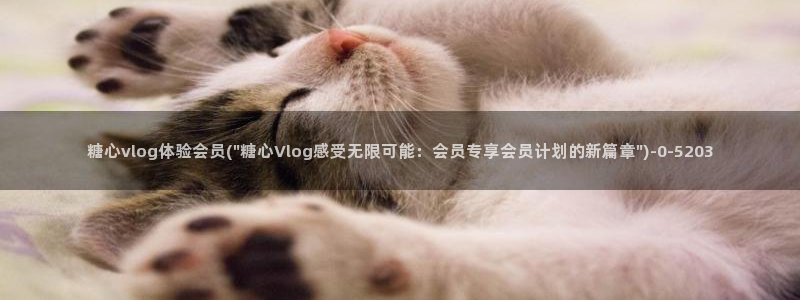 糖心vlog小鱼:糖心vlog体验会员(